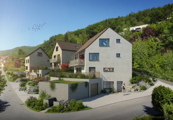 Alte Bergstrasse, Boppelsen, Bild 2