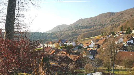 Alte Bergstrasse, Boppelsen, Bild 11