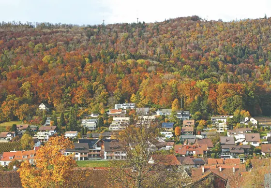 Alte Bergstrasse, Boppelsen, Bild 12