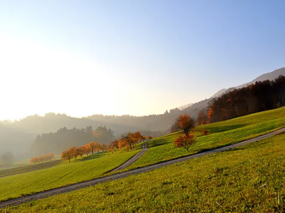 Alte Bergstrasse, Boppelsen, Bild 13